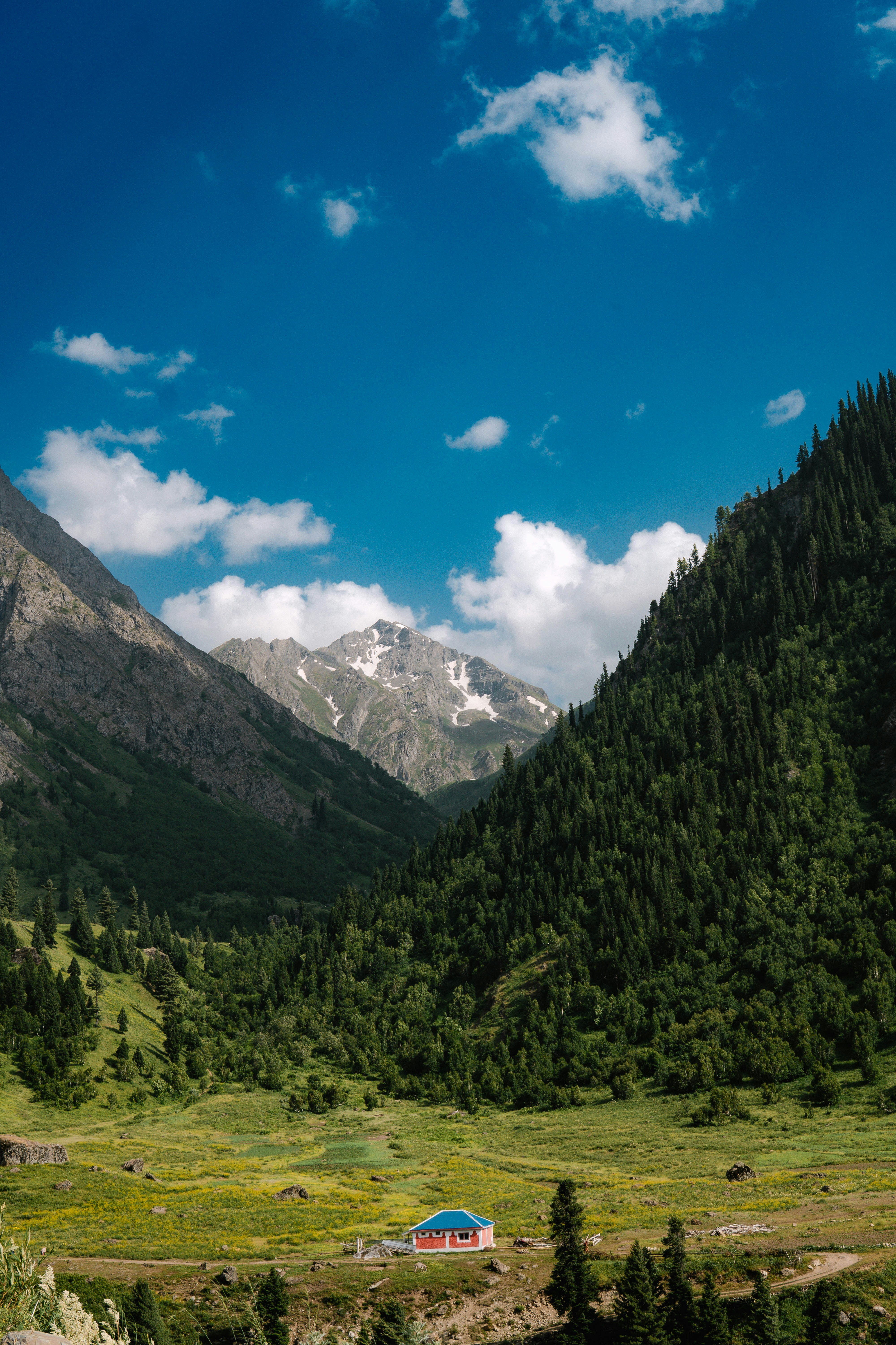 Rama Meadows in Diamer, Gilgit-Baltistan