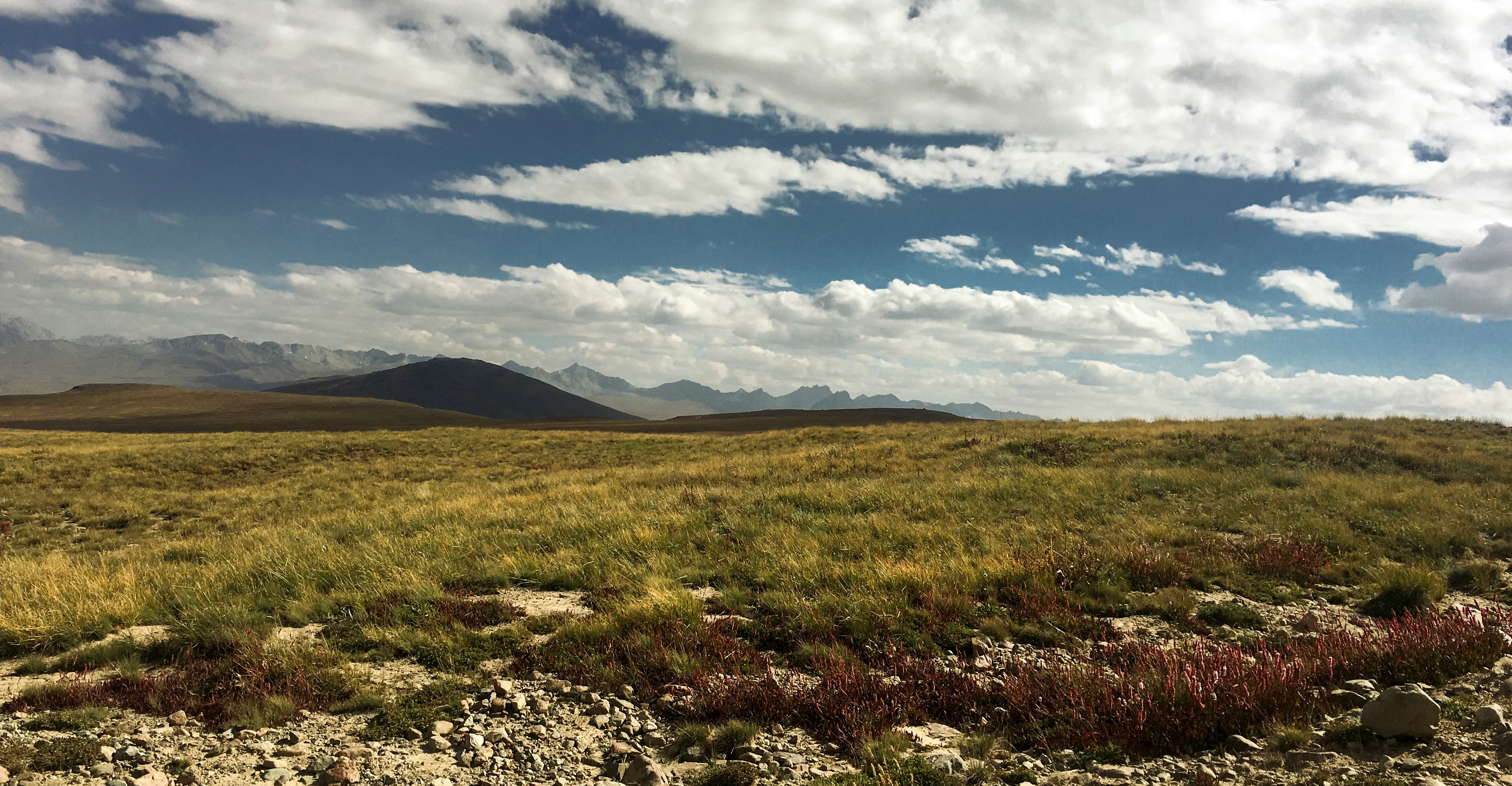 Deosai Plains near Skardu - jeep safari destination
